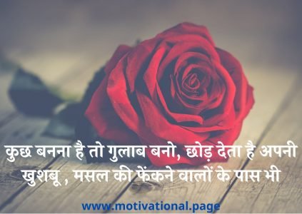 rose day images in hindi | Rose images with love messages in hindi - Hurr