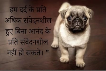 rishte quotes in hindi 1 1 scaled