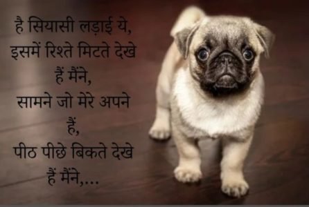 Rishte Quotes In Hindi 1 rishte quotes in hindi scaled