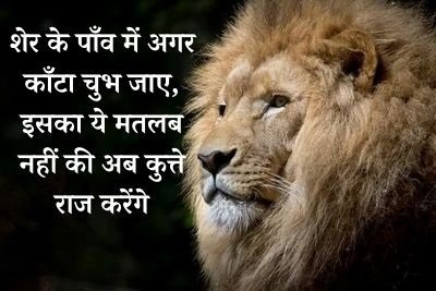 royal status in hind sher ke paanv